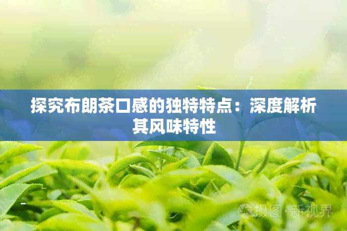 探究布朗茶口感的独特特点：深度解析其风味特性