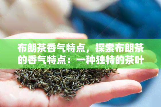 布朗茶香气特点，探索布朗茶的香气特点：一种独特的茶叶体验