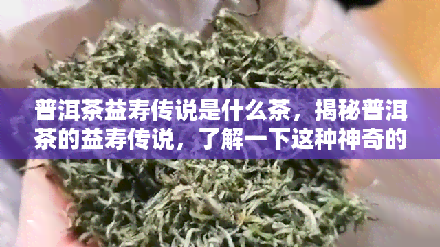 普洱茶益寿传说是什么茶，揭秘普洱茶的益寿传说，了解一下这种神奇的茶叶吧！