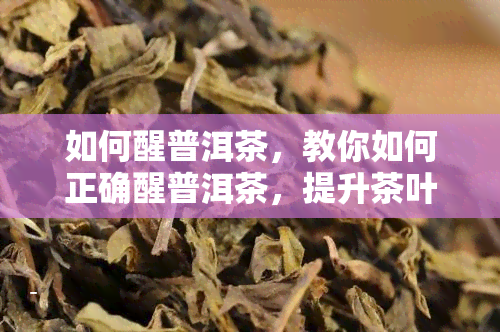 如何醒普洱茶，教你如何正确醒普洱茶，提升茶叶口感与香气！