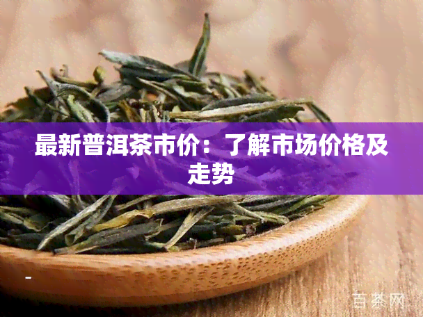 最新普洱茶市价：了解市场价格及走势