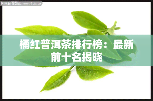 橘红普洱茶排行榜：最新前十名揭晓