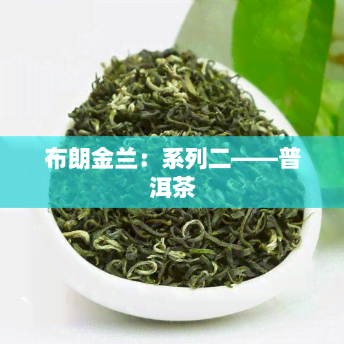 布朗金兰：系列二——普洱茶