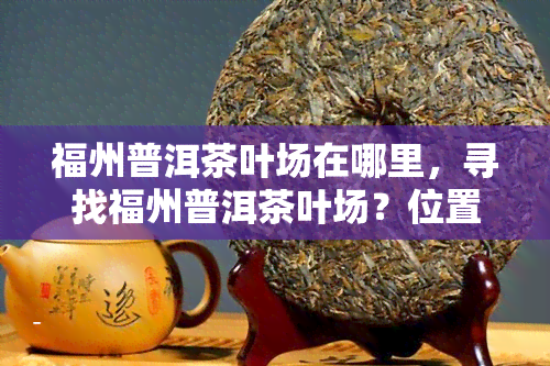 福州普洱茶叶场在哪里，寻找福州普洱茶叶场？位置全在这！