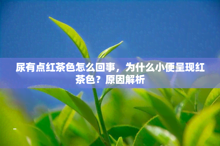 尿有点红茶色怎么回事，为什么小便呈现红茶色？原因解析