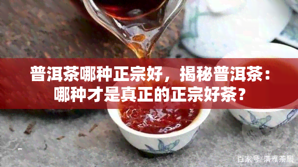 普洱茶哪种正宗好，揭秘普洱茶：哪种才是真正的正宗好茶？