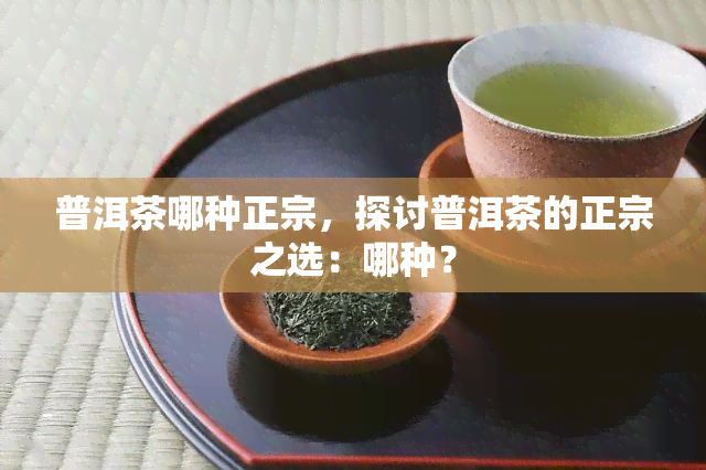 普洱茶哪种正宗，探讨普洱茶的正宗之选：哪种？