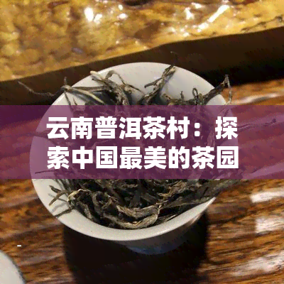 云南普洱茶村：探索中国最美的茶园村落