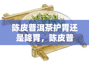 陈皮普洱茶护胃还是降胃，陈皮普洱茶：护胃还是降胃？解析其功效与作用