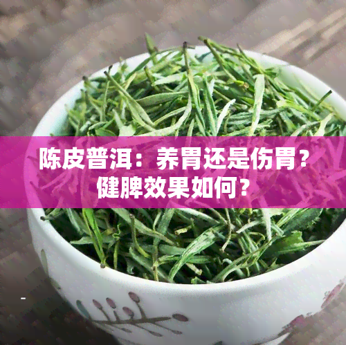 陈皮普洱：养胃还是伤胃？健脾效果如何？