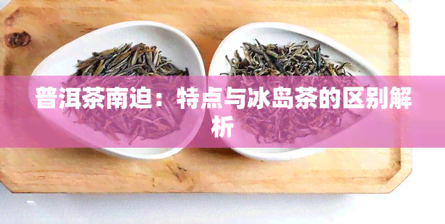 普洱茶南迫：特点与冰岛茶的区别解析