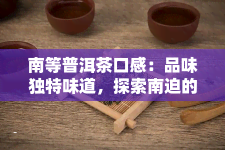 南等普洱茶口感：品味独特味道，探索南迫的秘密