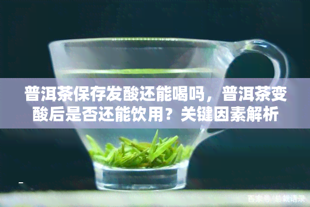 普洱茶保存发酸还能喝吗，普洱茶变酸后是否还能饮用？关键因素解析