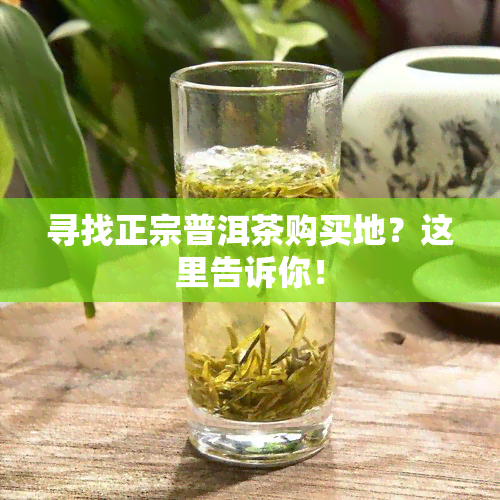 寻找正宗普洱茶购买地？这里告诉你！