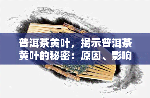 普洱茶黄叶，揭示普洱茶黄叶的秘密：原因、影响与解决办法