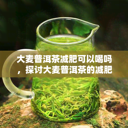 大麦普洱茶减肥可以喝吗，探讨大麦普洱茶的减肥效果，是否适合饮用？