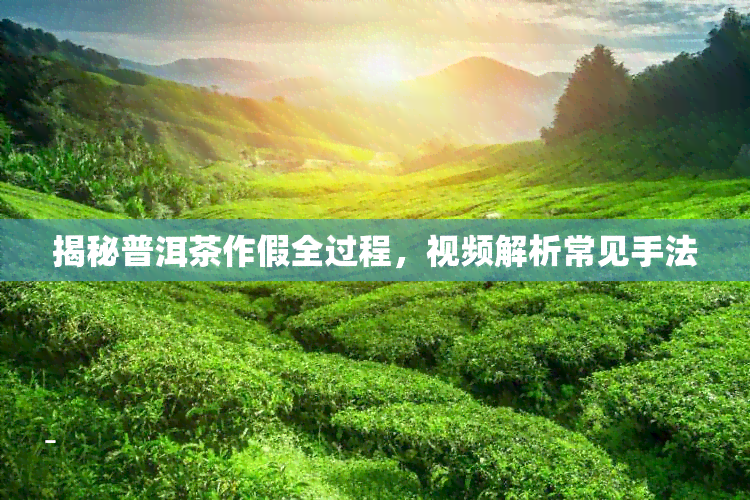 揭秘普洱茶作假全过程，视频解析常见手法