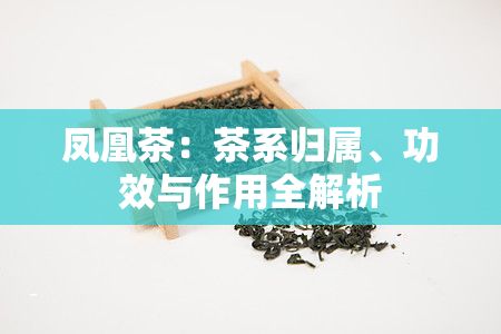 凤凰茶：茶系归属、功效与作用全解析