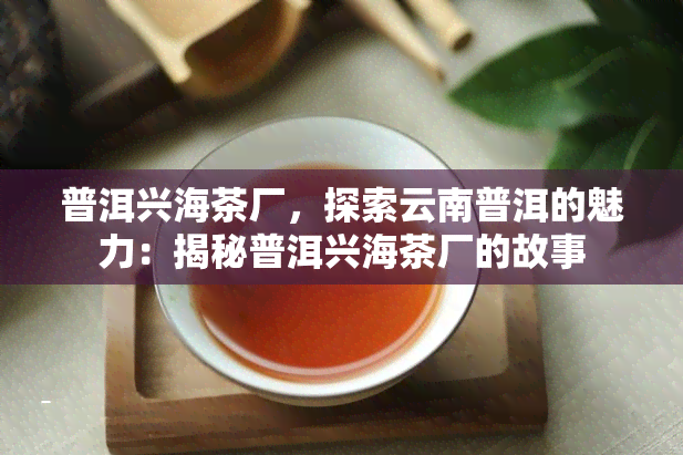 普洱兴海茶厂，探索云南普洱的魅力：揭秘普洱兴海茶厂的故事