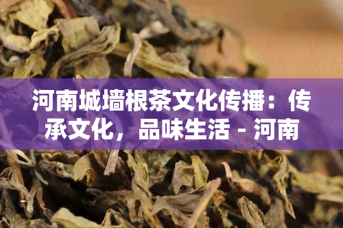 河南城墙根茶文化传播：传承文化，品味生活 - 河南城墙根茶馆与餐饮服务