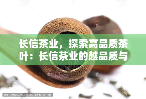 长信茶业，探索高品质茶叶：长信茶业的越品质与故事