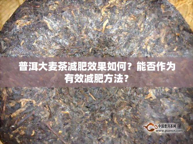 普洱大麦茶减肥效果如何？能否作为有效减肥方法？