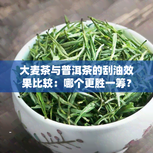 大麦茶与普洱茶的刮油效果比较：哪个更胜一筹？