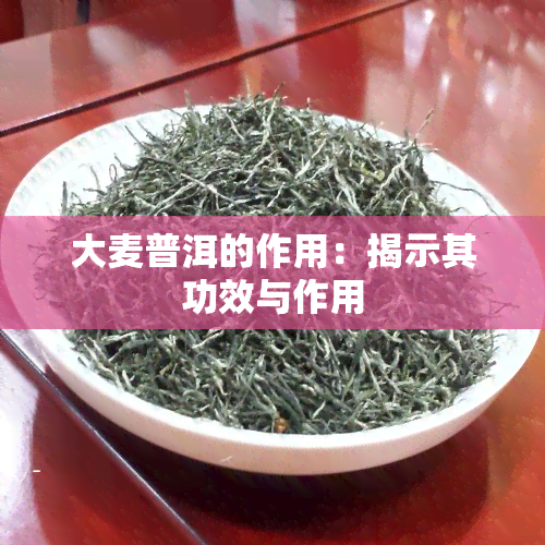 大麦普洱的作用：揭示其功效与作用