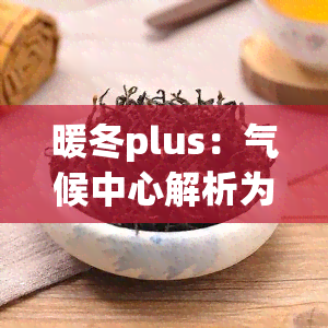 暖冬plus：气候中心解析为何暖冬却感觉寒冷