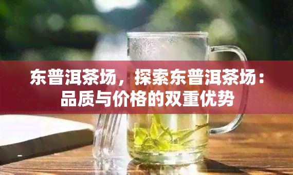 东普洱茶场，探索东普洱茶场：品质与价格的双重优势