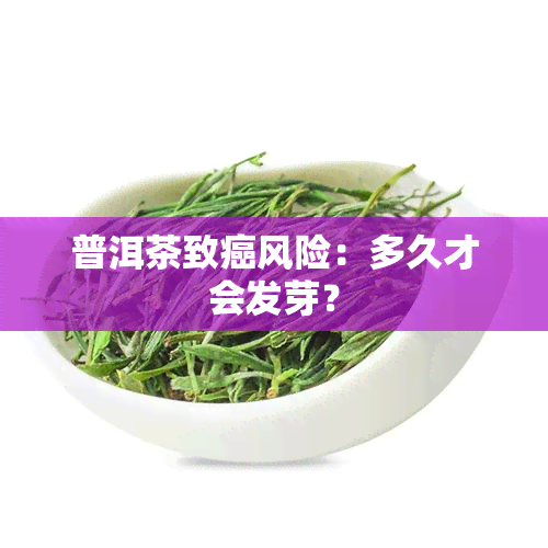 普洱茶致癌风险：多久才会发芽？