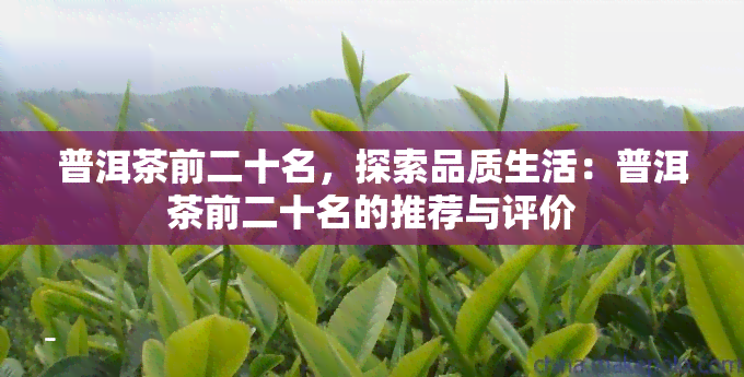 普洱茶前二十名，探索品质生活：普洱茶前二十名的推荐与评价