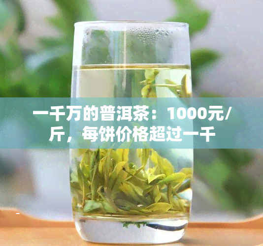 一千万的普洱茶：1000元/斤，每饼价格超过一千