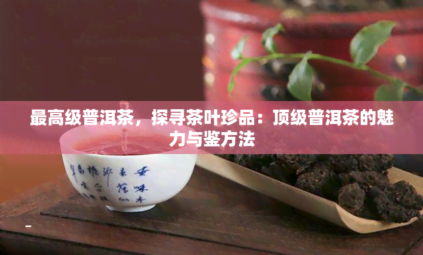 更高级普洱茶，探寻茶叶珍品：顶级普洱茶的魅力与鉴方法