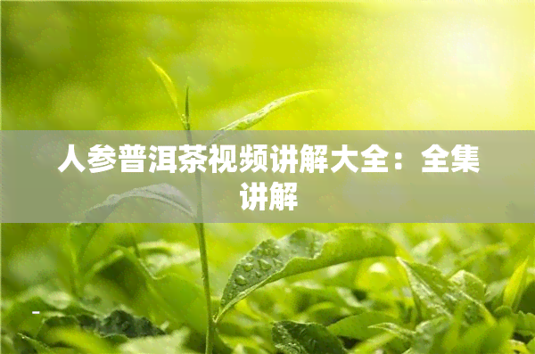 人参普洱茶视频讲解大全：全集讲解