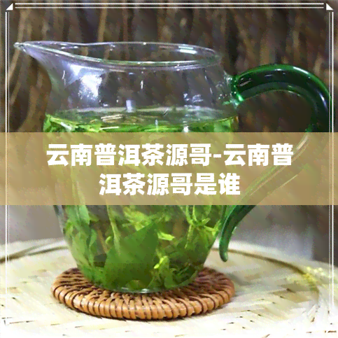 云南普洱茶源哥-云南普洱茶源哥是谁