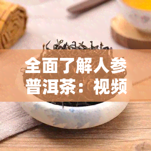 全面了解人参普洱茶：视频介绍大全