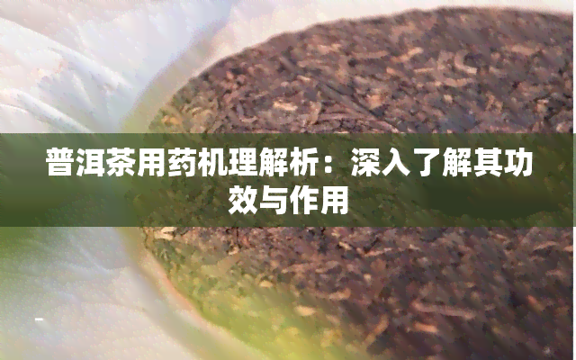 普洱茶用机理解析：深入了解其功效与作用