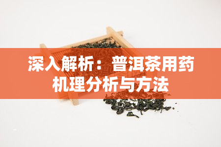 深入解析：普洱茶用机理分析与方法