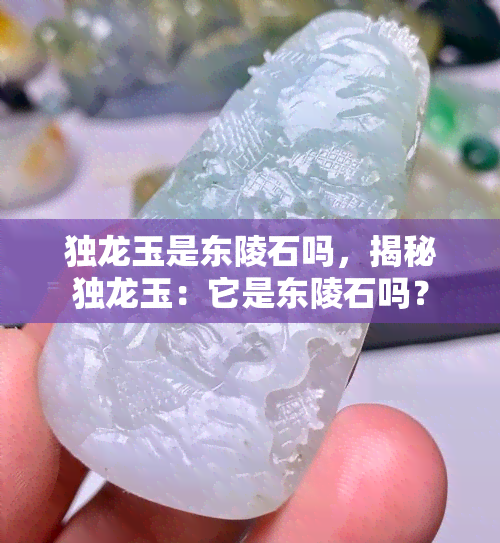 独龙玉是东陵石吗，揭秘独龙玉：它是东陵石吗？