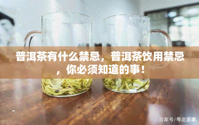 普洱茶有什么禁忌，普洱茶饮用禁忌，你必须知道的事！