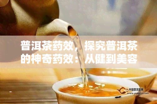 普洱茶效，探究普洱茶的神奇效：从健到美容，一文告诉你所有秘密