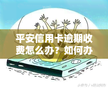 平安信用卡逾期收费怎么办？如何办理？需要注意哪些事？