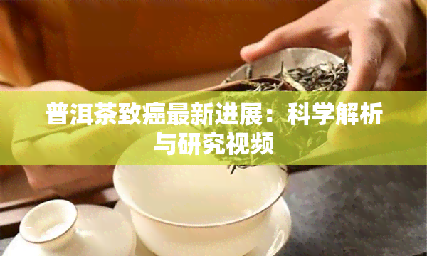 普洱茶致癌最新进展：科学解析与研究视频