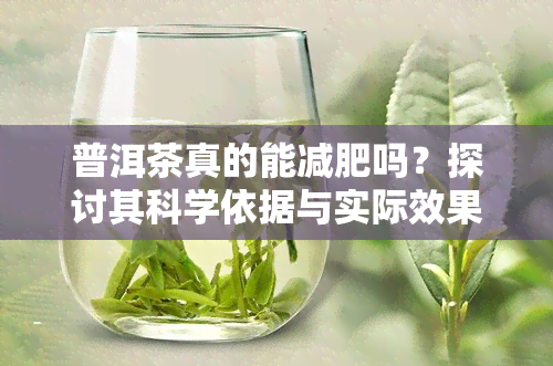 普洱茶真的能减肥吗？探讨其科学依据与实际效果