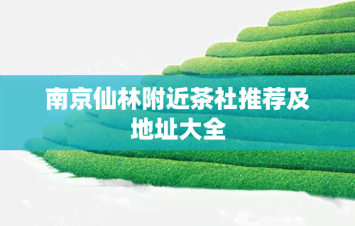 南京仙林附近茶社推荐及地址大全