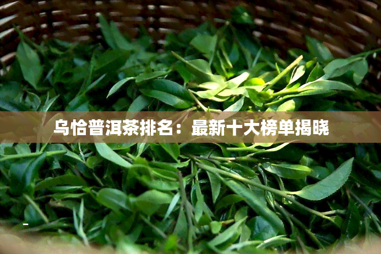 乌恰普洱茶排名：最新十大榜单揭晓