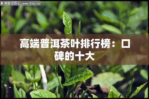 高端普洱茶叶排行榜：口碑的十大