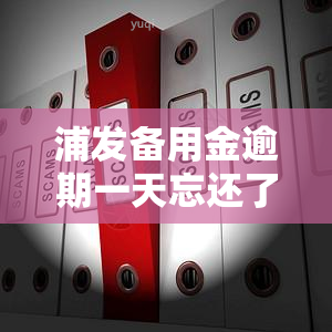 浦发备用金逾期一天忘还了会影响信用吗？需要采取哪些措解决？