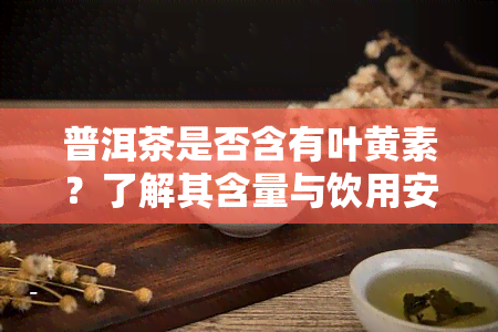 普洱茶是否含有叶黄素？了解其含量与饮用安全性